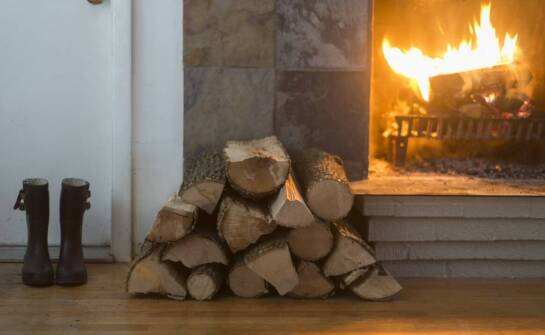 Jak wybrać drewno do kominka? Rodzaje, cechy i porady przed zakupem