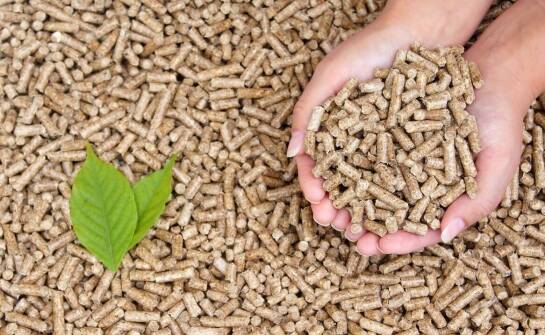 Eko pelet – czym jest, jak powstaje i dlaczego zyskuje na popularności
