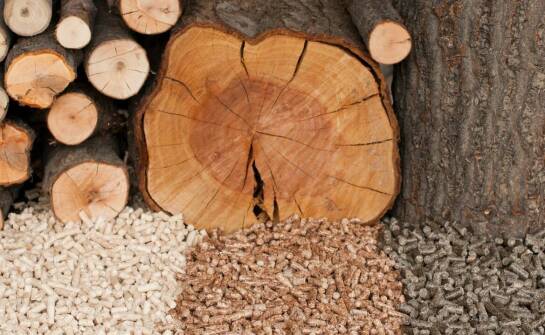 Pellet drzewny – najważniejsze cechy, zastosowanie i sprawdzone porady