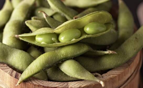 Ekogroszek workowany – najważniejsze zalety, zastosowanie i kwestie wyboru