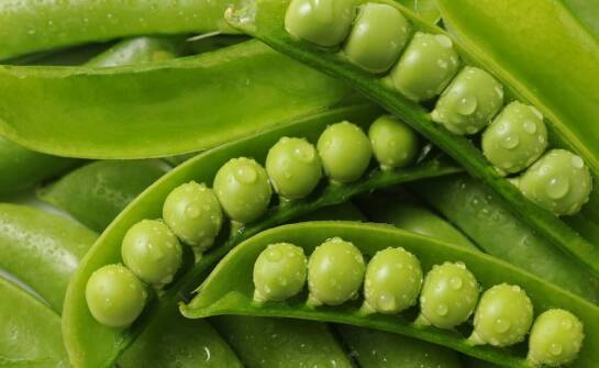 Ekogroszek – jak powstaje, właściwości i wpływ na nowoczesne ogrzewanie