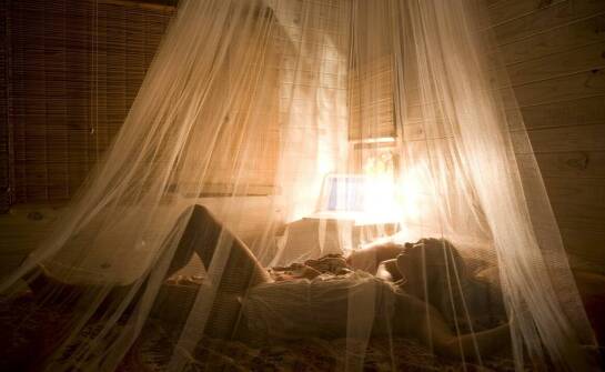 Jak działają moskitiery ramkowe i kiedy warto je wybrać?