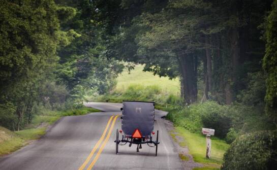 Wózki autonomiczne – jak działają i jakie technologie za nimi stoją