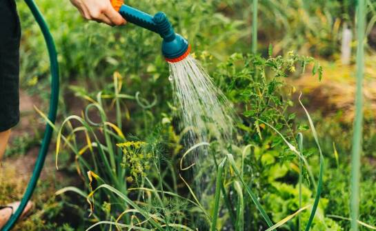 Najlepsze sposoby na efektywne nawadnianie ogrodów i terenów zielonych