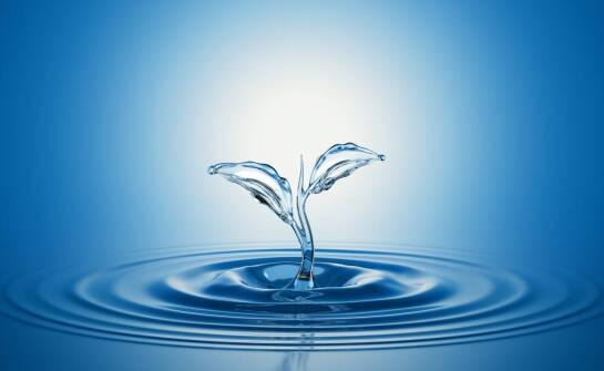 Nowoczesne rozwiązania w dystrybucji wody – trendy i praktyczne zastosowania