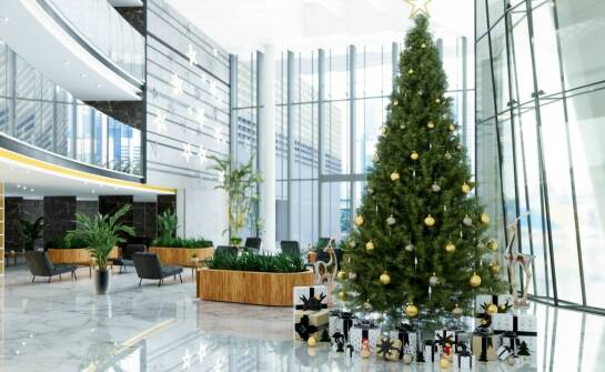 Wynajem choinek – ekologiczna alternatywa dla tradycyjnego drzewka