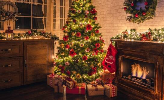 Jak zamówić żywą choinkę z dostawą i przygotować ją do świąt