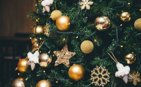 Choinki świąteczne – jak wybrać drzewko i zadbać o świąteczny klimat