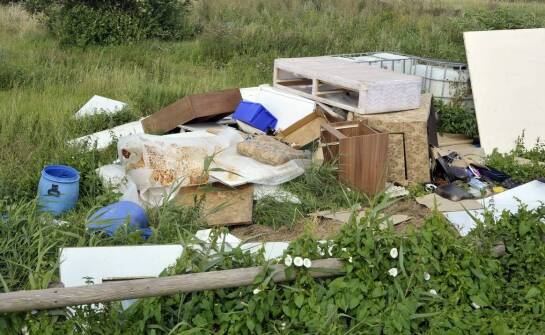 Asenizacja – jak przebiega proces i jakie ma znaczenie dla środowiska