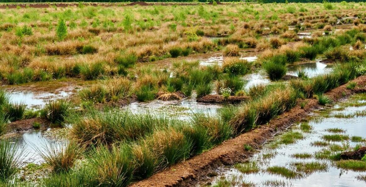 Prace ziemne – najważniejsze technologie i innowacje stosowane na budowie