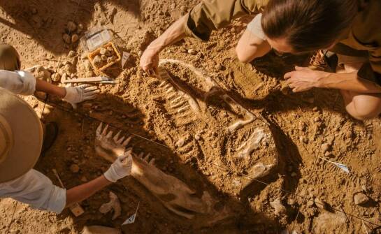 Ekshumacja oraz organizacja pochówku – najważniejsze informacje i zasady