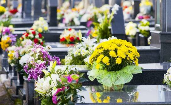 Zakres usług oferowanych przez zakłady pogrzebowe oraz etapy organizacji pożegnania