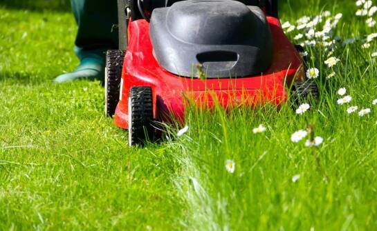 Sposoby na piękny trawnik – sprawdzone metody pielęgnacji i koszenia