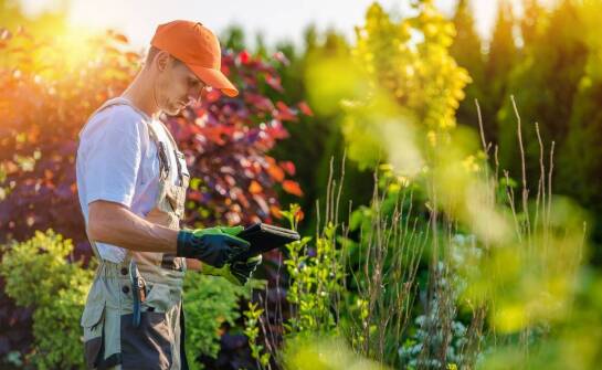 Pielęgnacja roślin ozdobnych – kluczowe zasady troski o zieleń wokół domu