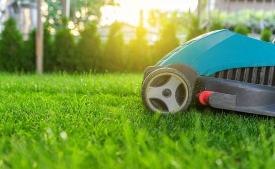 Wertykulacja trawnika – kiedy i jak poprawić kondycję zielonej murawy