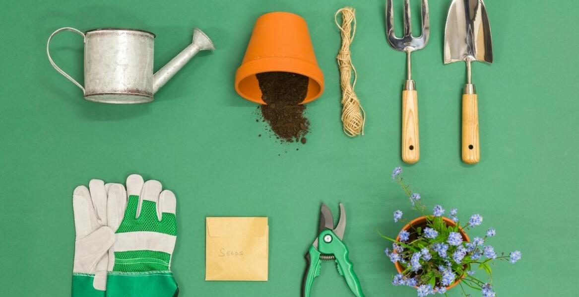 Jakie narzędzia są nizbędne przy pielęgnacji ogrodów?