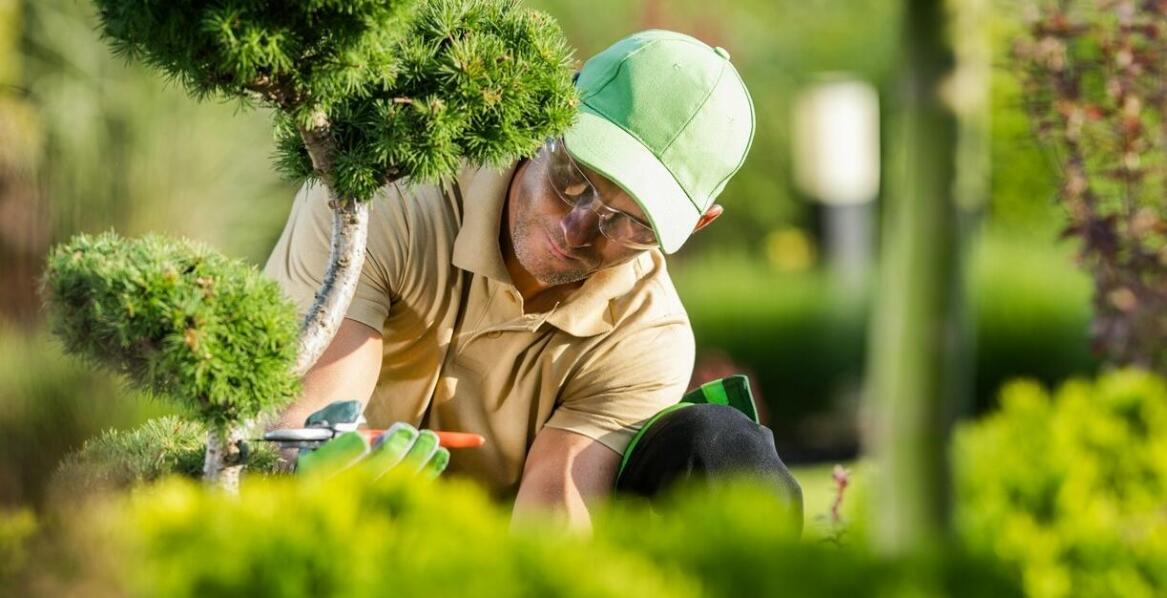 Jak dbać o zieleń miejską i przydomową – sprawdzone sposoby pielęgnacji