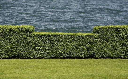 Ogrodzenia kute – styl, trwałość i możliwości aranżacji przestrzeni