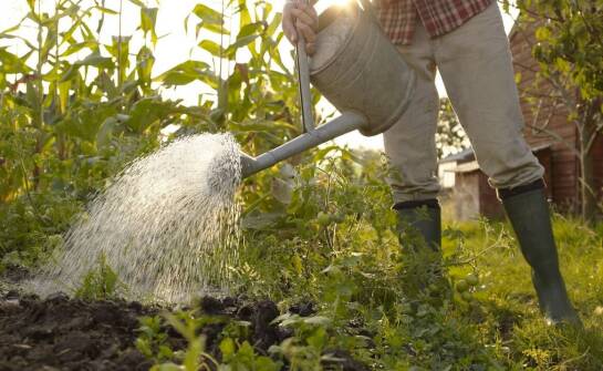 Części zamienne Trioliet – jak zadbać o niezawodność maszyn rolniczych