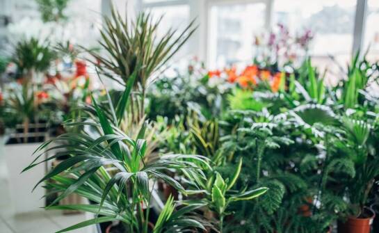 Przydomowe oczyszczalnie ścieków – rodzaje, zalety i najczęstsze pytania