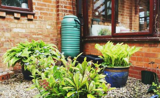 Oszczędność wody deszczowej – zastosowania i korzyści z magazynowania opadu