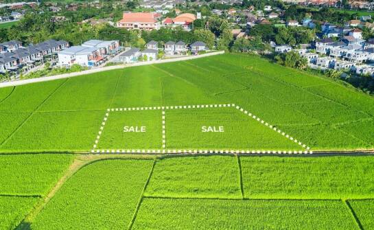 Najważniejsze aspekty wyboru działki – co sprawdzić przed zakupem