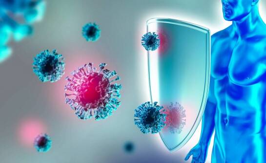 Borelioza – jak rozpoznać objawy, diagnozować i wspierać leczenie organizmu