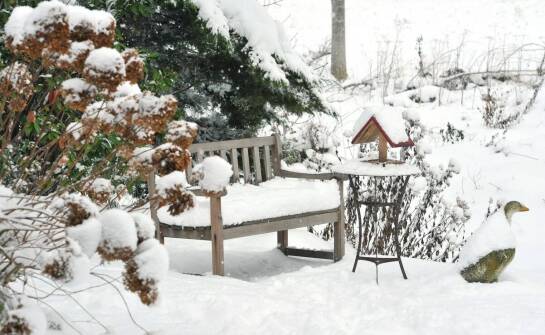 Ogrody zimowe – inspiracje, zalety i pomysły na aranżację przestrzeni