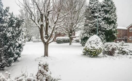 Ogród zimowy w domu – praktyczne zastosowania i możliwości wykorzystania