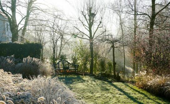 Ogrody zimowe – funkcje, rodzaje konstrukcji i inspiracje na każdą porę roku