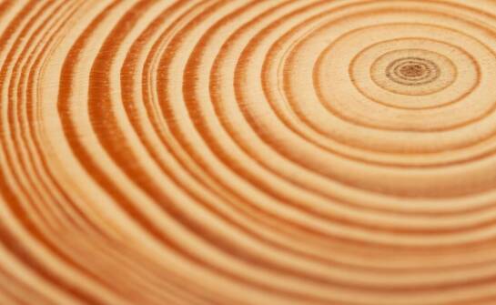 Kantówka klejona sosnowa – zastosowania, trwałość i znaczenie w budownictwie