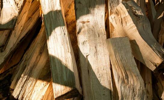 Tarcica sucha – zastosowanie w meblarstwie, renowacji oraz pracach stolarskich