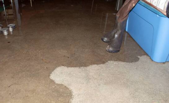 Osuszanie podposadzkowe – kiedy zastosować i jakie daje korzyści