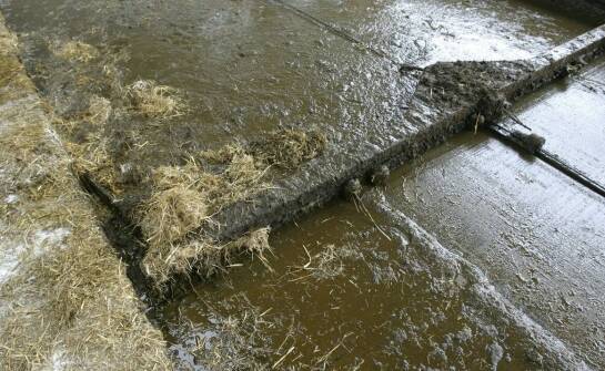 Wilgoć po zalaniu – sprawdzone sposoby na szybkie osuszanie wnętrz