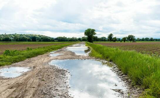 Jak skutecznie usuwać wilgoć po zalaniu i zabezpieczyć dom przed pleśnią