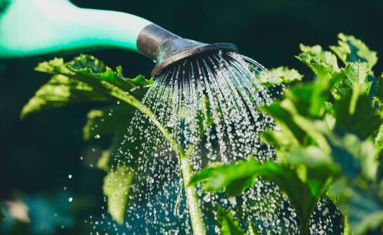 Wilgoć po zalaniu – jak szybko przeprowadzić skuteczne osuszanie pomieszczeń