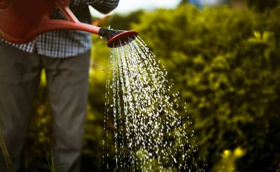 Przyczyny zawilgocenia po zalaniu – jak przebiega proces osuszania budynku