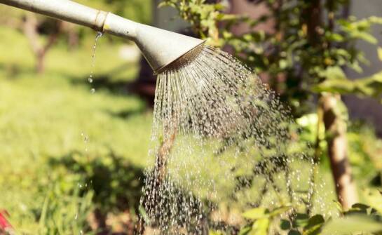 Jak przebiega usuwanie skutków zalania i zabezpieczanie budynku przed wilgocią