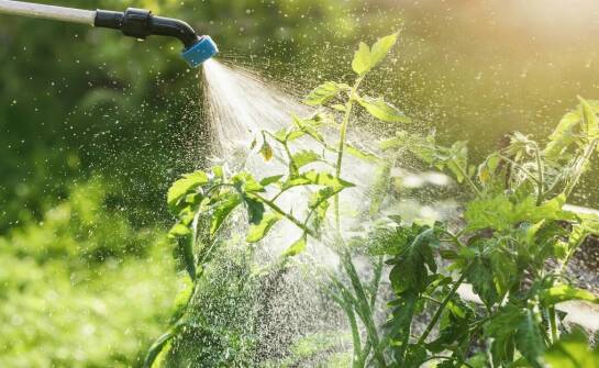 Skutki zalania i sprawdzone sposoby na szybkie osuszanie pomieszczeń