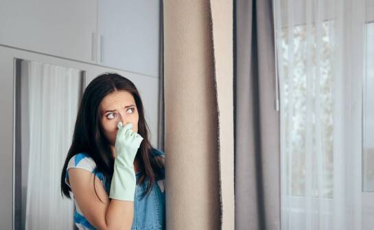 Wilgoć w mieszkaniu – przyczyny i skuteczne sposoby osuszania wnętrz