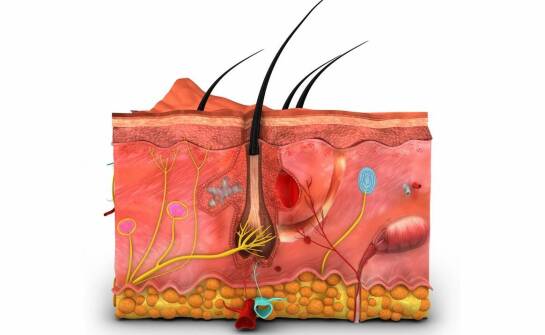Fakoemulsyfikacja w leczeniu zaćmy – etapy zabiegu i możliwe korzyści