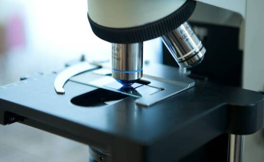 Krążki węglowe w mikroskopii skaningowej – zastosowanie i właściwości