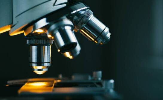 Zastosowanie materiałów węglowych w analizie mikroskopowej – co warto wiedzieć