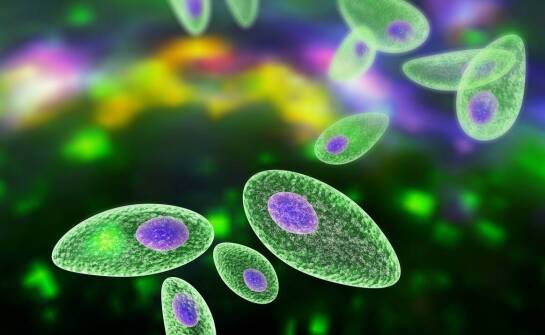 Metody mnożenia komórek roślinnych i ich zastosowanie w biotechnologii