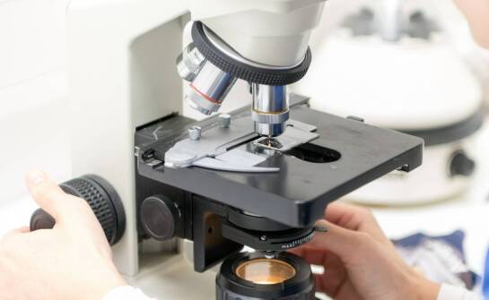 Pudełka na szkiełka mikroskopowe – zastosowanie i wybór odpowiednich rozwiązań