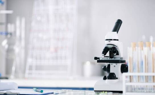 Rodzaje szkiełek mikroskopowych – zastosowania w badaniach naukowych