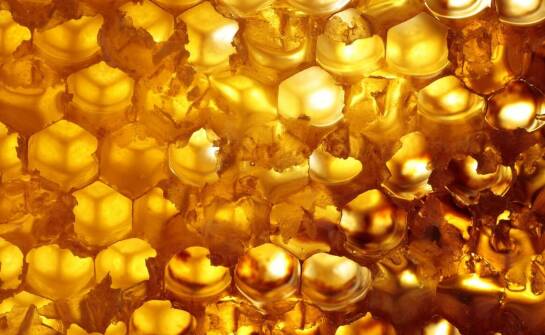 Koloidalne związki złota sprzężone z przeciwciałami – możliwości zastosowań