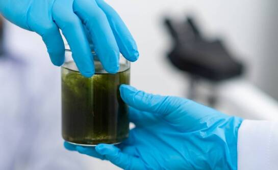 Jak przebiega neutralizacja kwasów i jakie substancje są najczęściej stosowane