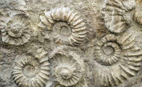 Kształtki wieńcowe – istotny element konstrukcji stropów i ścian nośnych