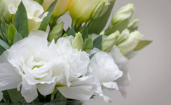 Jakie usługi obejmuje branża pogrzebowa oraz jak wygląda ich realizacja